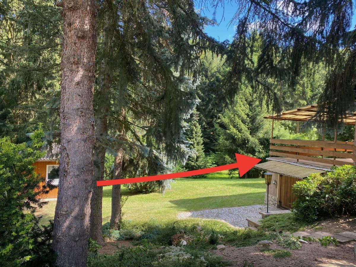 Villa Residenz Waldfrieden Garnsdorf Esterno foto
